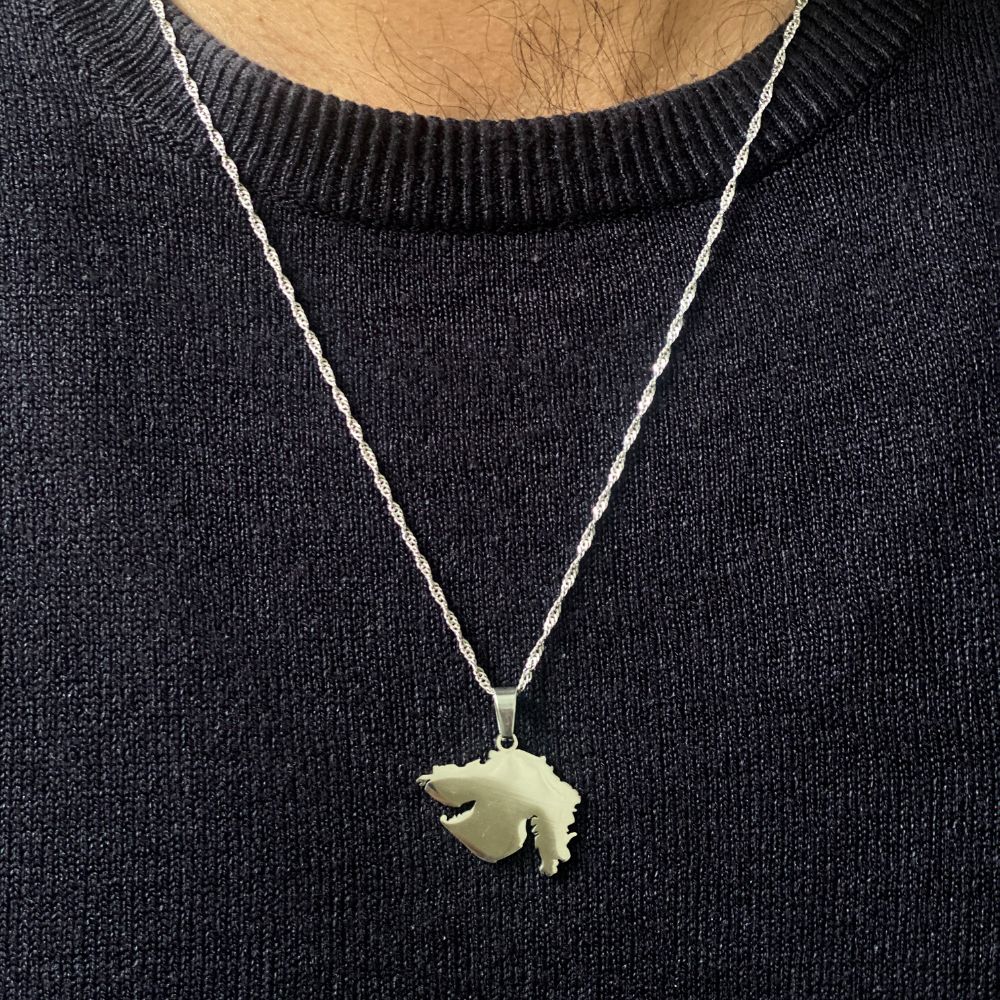 man wearing silver gujarat india map pendant necklace in stainless steel tarnish free