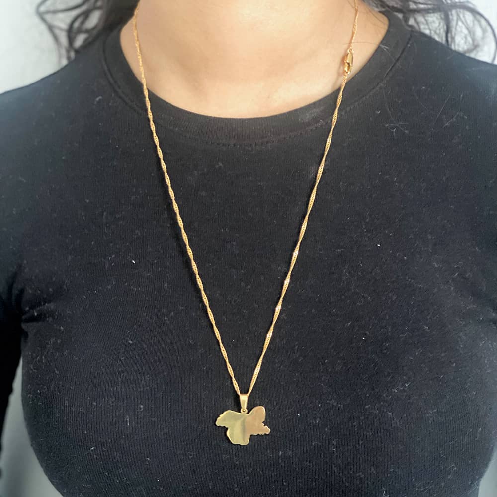 closeup of woman wearing kashmir necklace