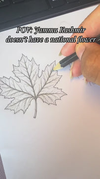 drawing of chinar leaf and then revealing it engraved on a pendant